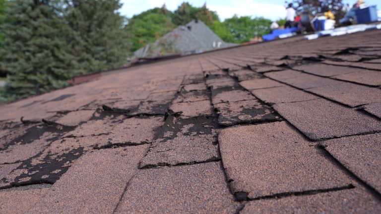 Best Roof Ventilation Installation  in Tennille, GA