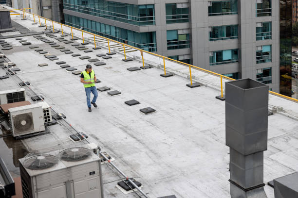 Best Skylight Installation and Repair  in Tennille, GA